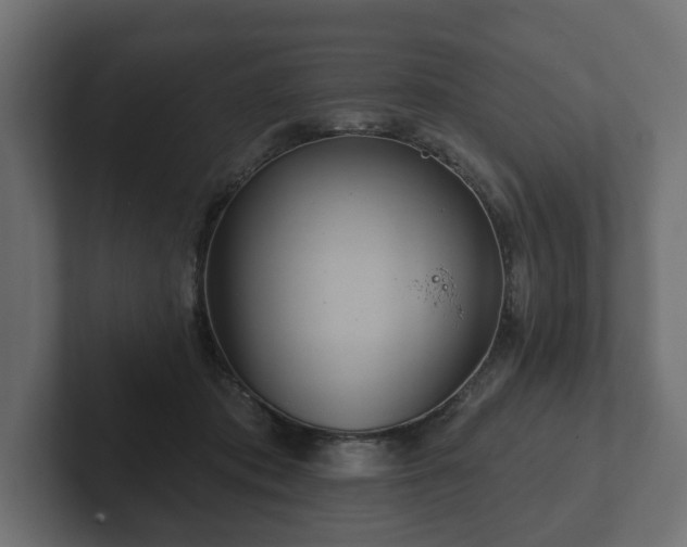 X0000102790413200808251032