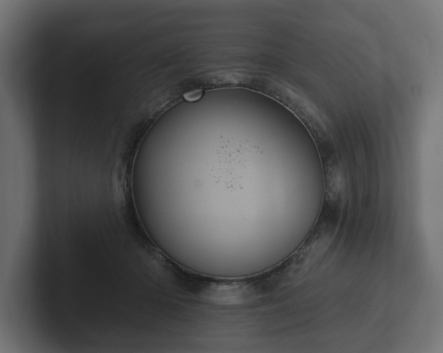 X0000102790414200808251032