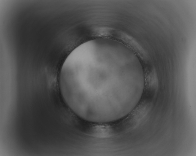 X0000102790415200808251032