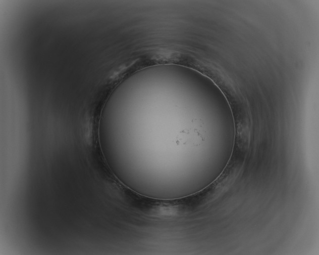 X0000102790416200808251032