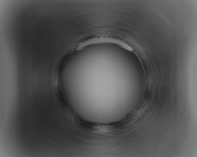 X0000102790417200808251032