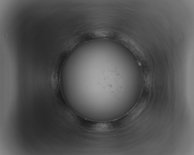 X0000102790418200808251032