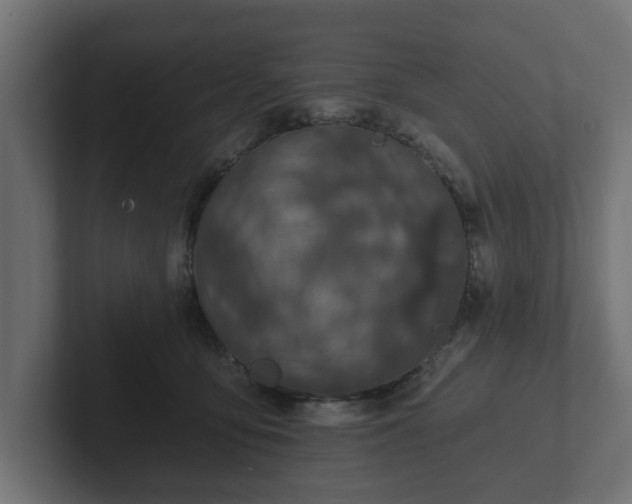 X0000102790419200808251032