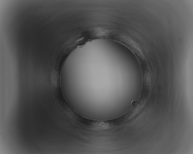 X0000102790421200808251032