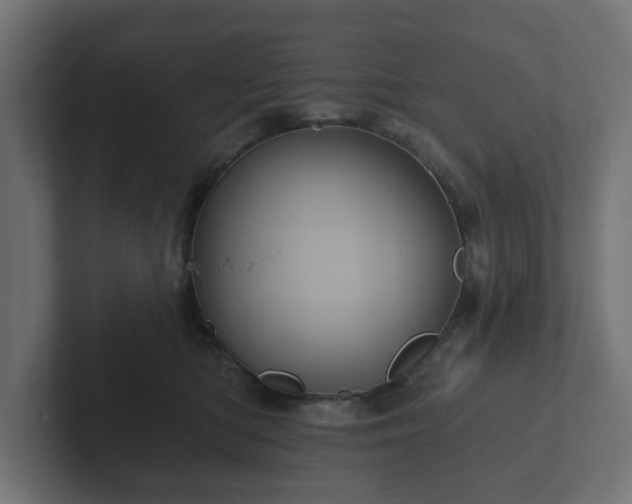 X0000102790422200808251032