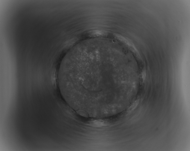 X0000102790423200808251032