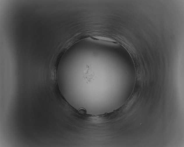 X0000102790425200808251032