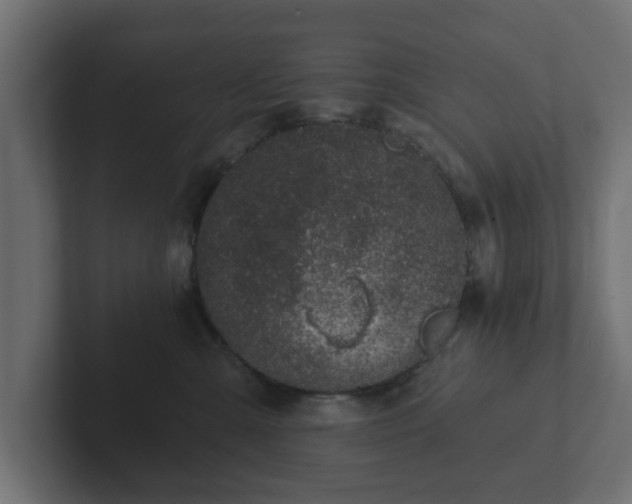 X0000102790427200808251032