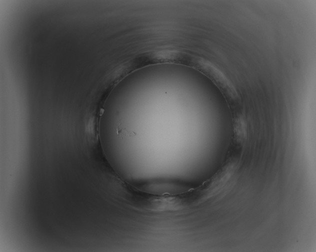 X0000102790428200808251032