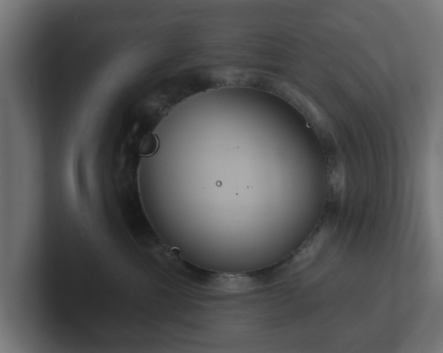 X0000102790429200808251032