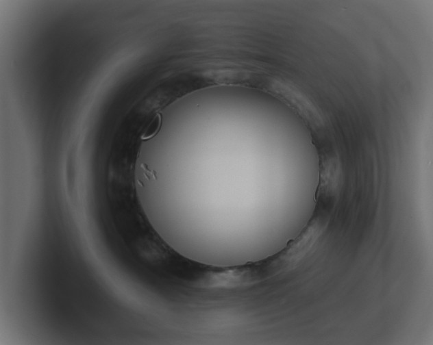 X0000102790430200808251032