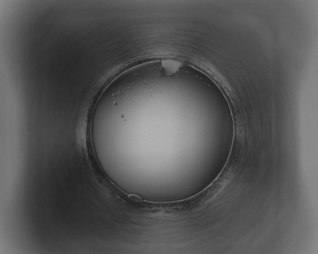 X0000102790434200808251031