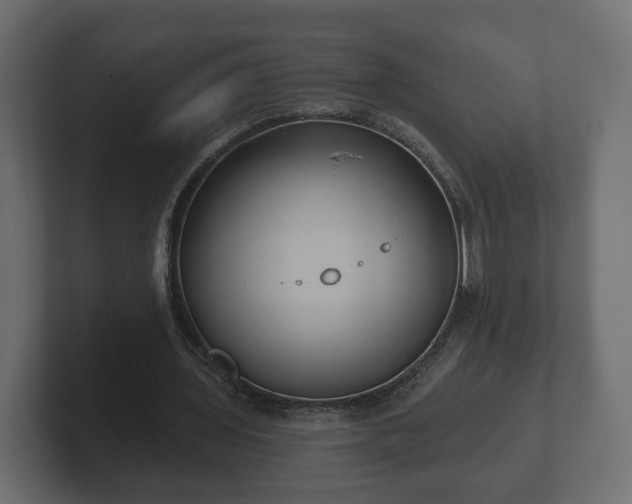 X0000102790435200808251031