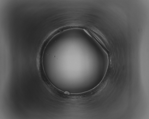 X0000102790436200808251031