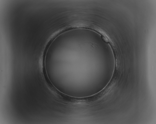 X0000102790438200808251031