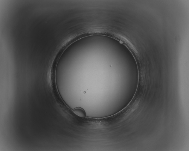 X0000102790439200808251031