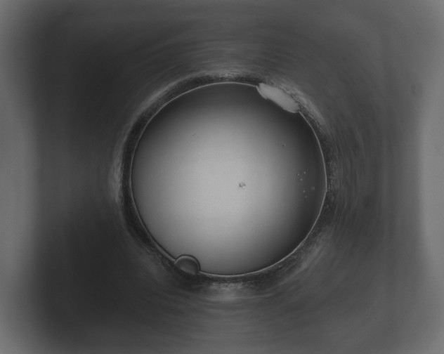 X0000102790440200808251031