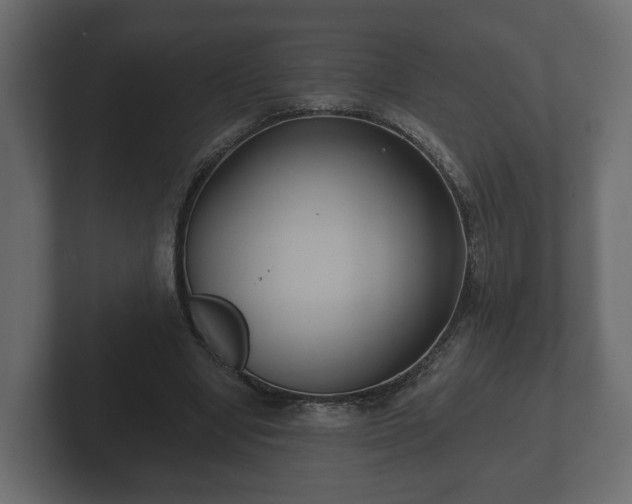 X0000102790442200808251032