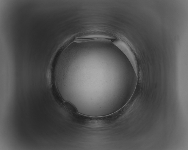 X0000102790444200808251032