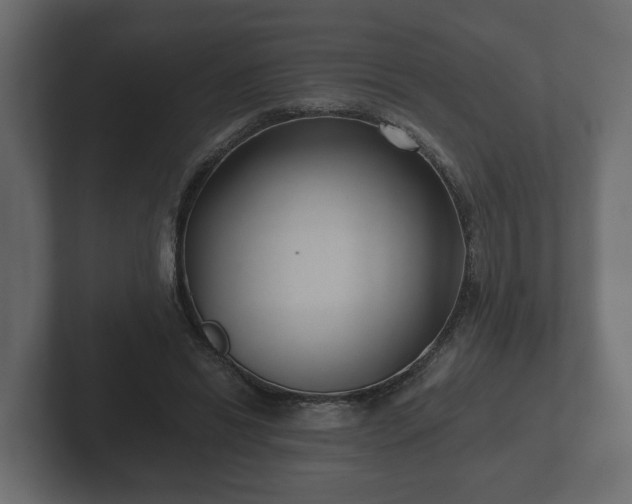 X0000102790446200808251032