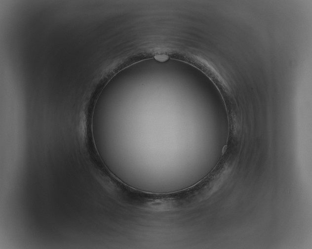 X0000102790447200808251032