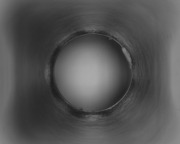 X0000102790448200808251032