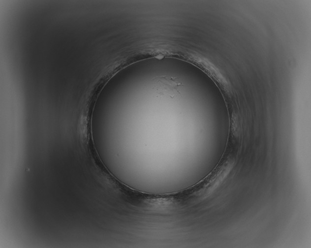 X0000102790449200808251032