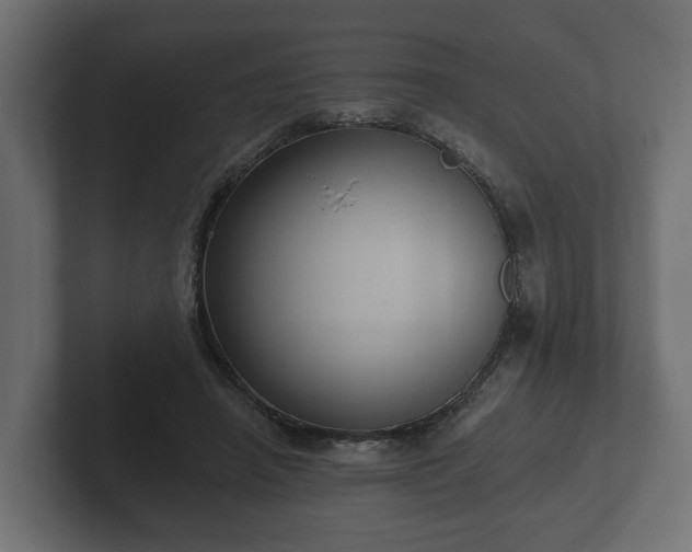 X0000102790450200808251032