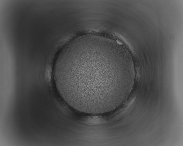 X0000102790451200808251032