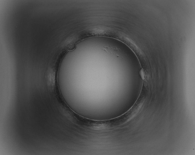 X0000102790454200808251032