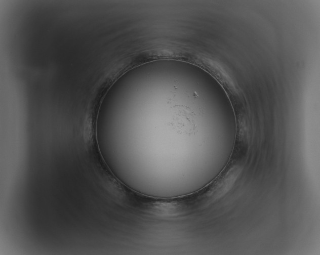 X0000102790457200808251032