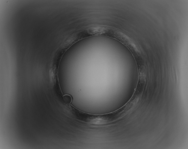 X0000102790460200808251032