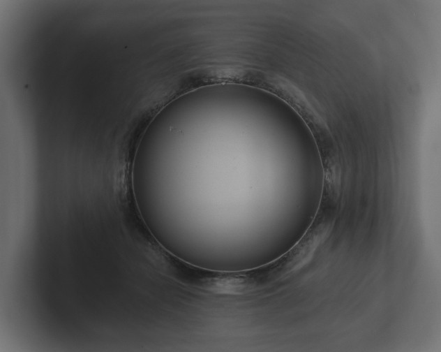 X0000102790462200808251032