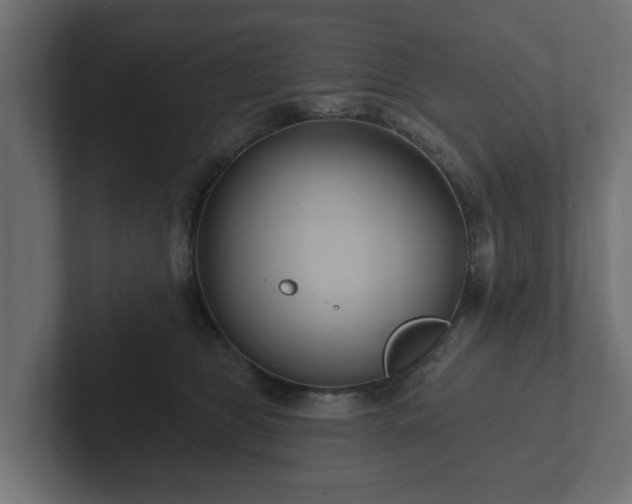 X0000102790469200808251032