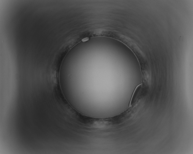 X0000102790470200808251032