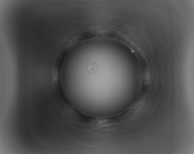 X0000102790472200808251032