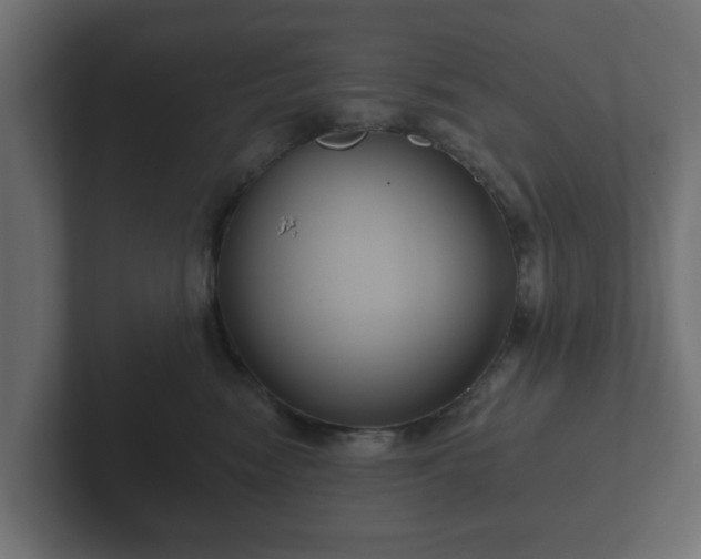 X0000102790474200808251032