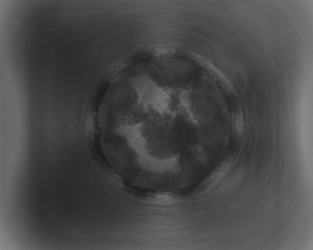 X0000102790475200808251032