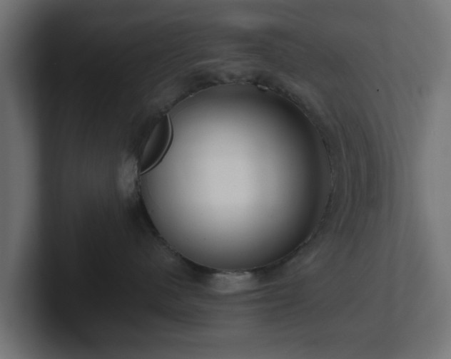 X0000102790480200808251032