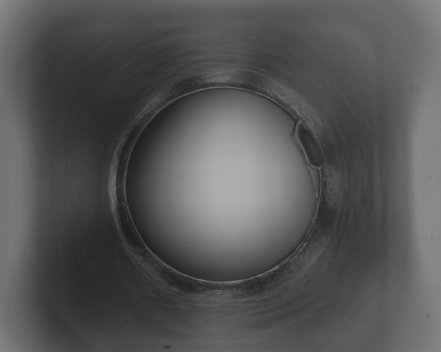 X0000102790482200808251031