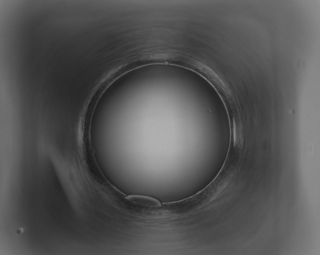 X0000102790483200808251031