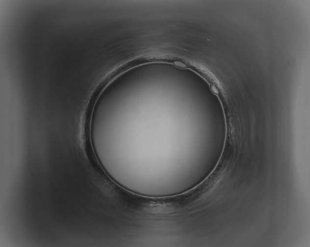 X0000102790487200808251031