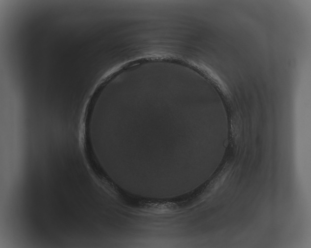 X0000102790488200808251031