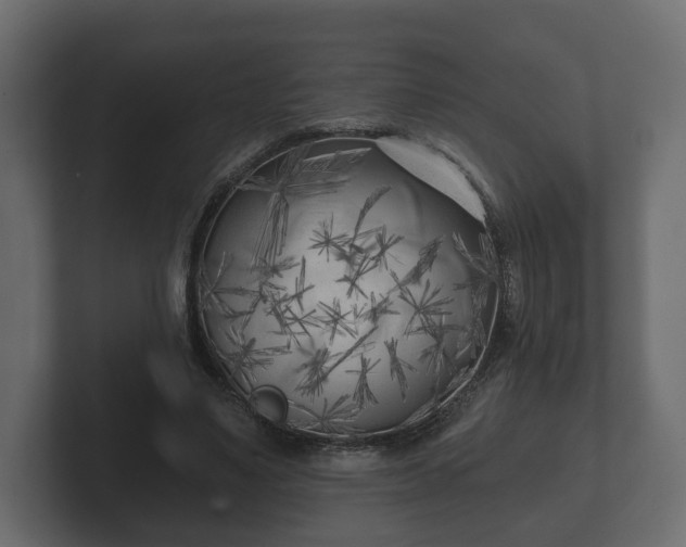 X0000102790491200808251031