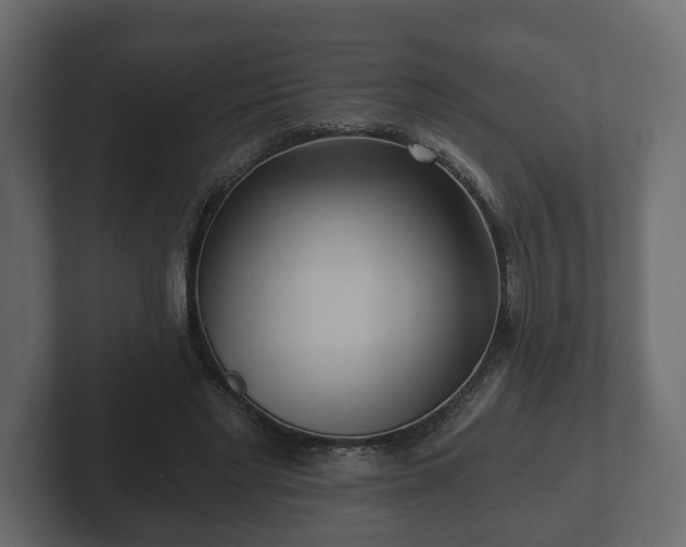 X0000102790493200808251031