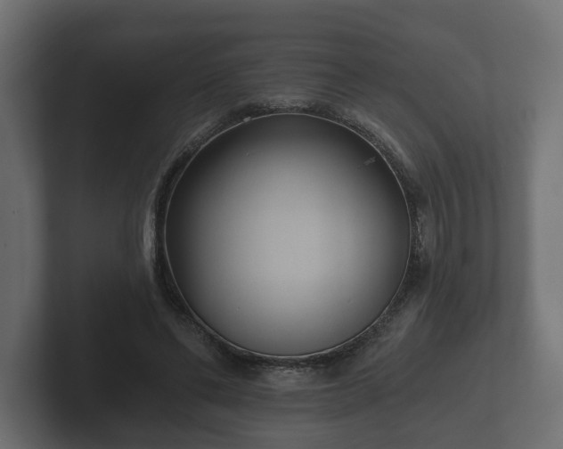 X0000102790494200808251031