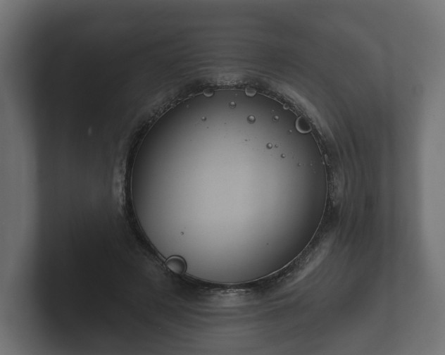 X0000102790497200808251031