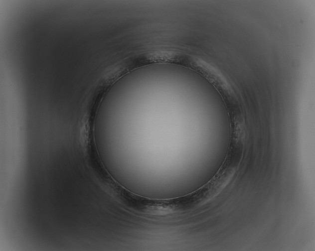 X0000102790498200808251031