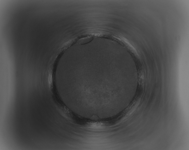 X0000102790500200808251031