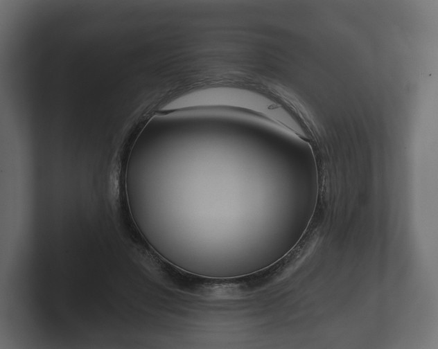 X0000102790501200808251031